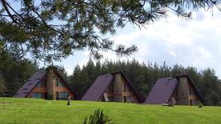 Фото Курортные отели Forest Houses г. Godech